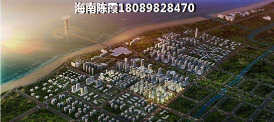 麓鸣海概述