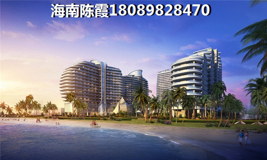 金港海岸生纸因素分析