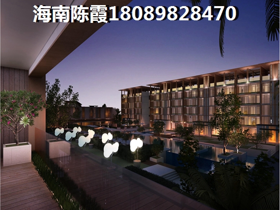 东方XG政策