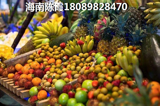 东方海岸假日买房养老