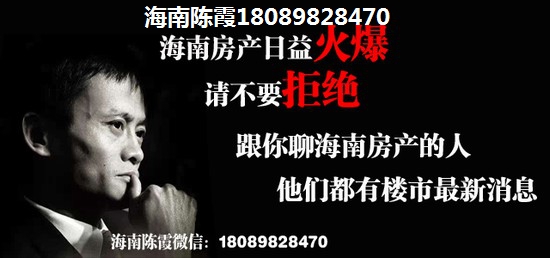 海南省东方市八所镇历年房价，海南的房价2024年多少了？