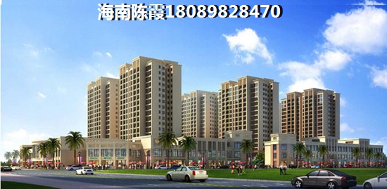 海东方开发商实力怎么样？