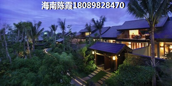 鼎泰国际是什么平台（重庆旅游海边）