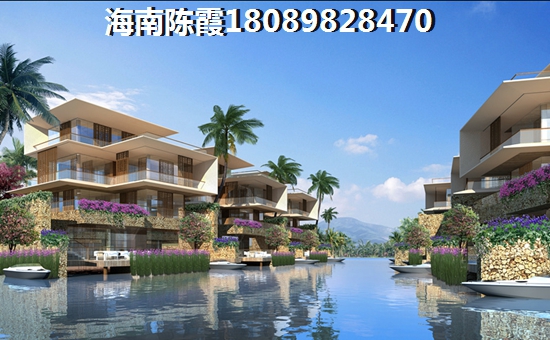 问道手游蛤蟆怎么玩好玩