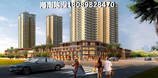 咸鸭蛋炒娃娃菜的家常做法大全 咸鸭蛋炒娃娃菜的家常做法大全