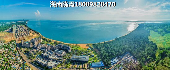 孕妇梦见黑牛是什么意思